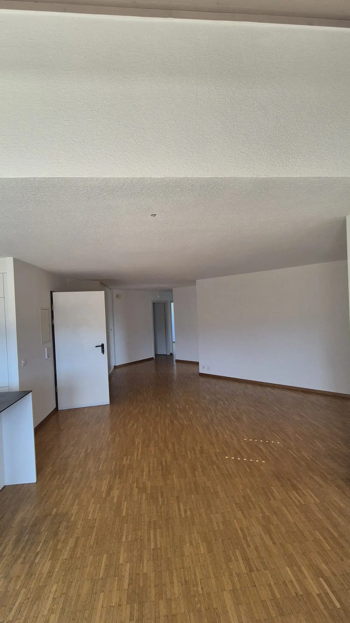 Couloir et cadres de portes laqués dans un appartement à Gland